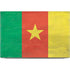 Cameroon Flag Distressed Dell XPS Skin